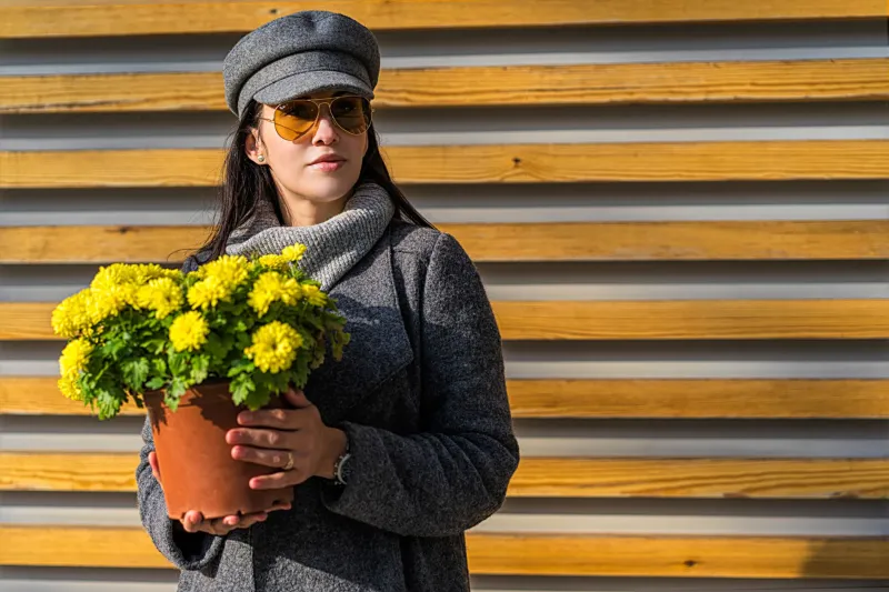 Pollen Season and Your Aviators: The Comfort Connection You Didn't Know You Needed